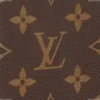 Cheap Louis Vuitton Brazza Wallet M66540 0124