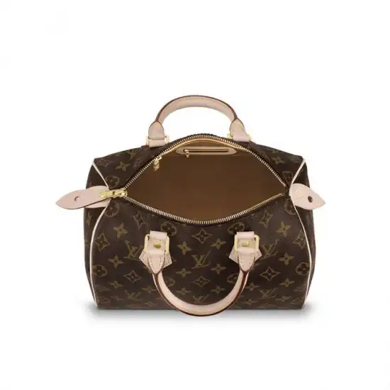 Cheap Louis Vuitton Speedy 25 M41109 0201