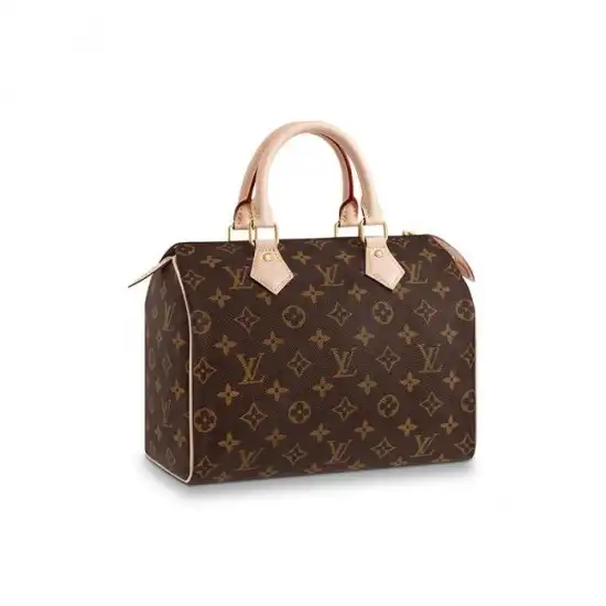 Cheap Louis Vuitton Speedy 25 M41109 0201