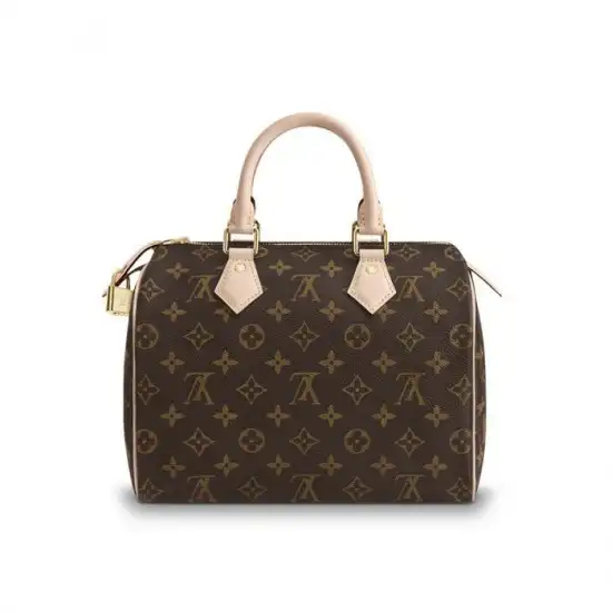 Cheap Louis Vuitton Speedy 25 M41109 0201